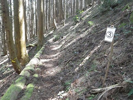 狸穴の源泉からの下りは踏み跡のある整備された登山道になっていた