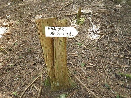 谷ぶちにそって奥へという案内プレートがあったけど、今更こんなところに立ててあっても、下りの場合はあまり関係ないかも