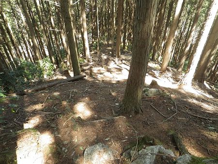 写真ではわかりにくいけど、やはり尾根の先で急斜面になっている。整備された登山道ということは、直で下ったりしないはずだと予想した