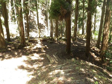 予想通り、途中から右側へつづら折れの登山道になっていて急斜面を尾根を巻いて下るようになっていて、沢筋まで下ってきた