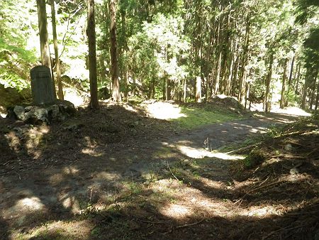 最初の林道に合流した。今回の下山ルートでかなりの距離をショートカットできたと思うけど、登りだと急斜面ばかりでしんどそう