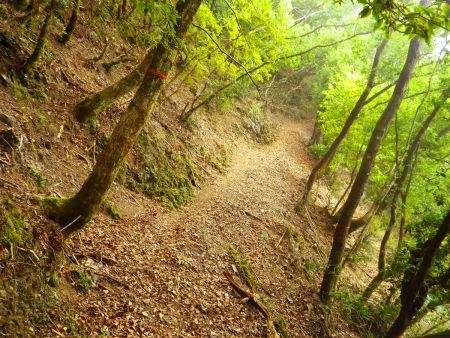 全てが尾根道ではなくて、このように尾根沿いにトラバースする場所があったりする