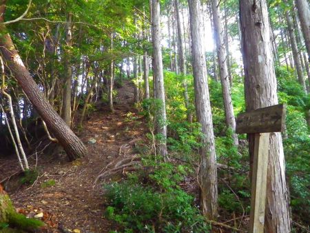 ここで登りがあるけど、見えているピークが大黒天神岳になる