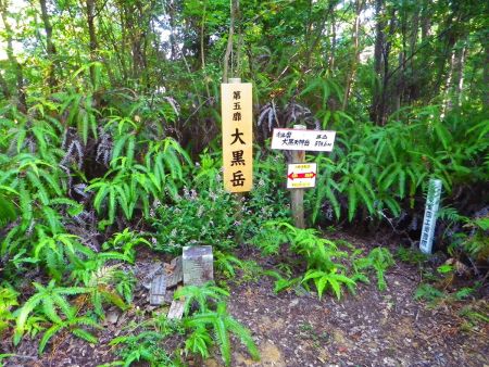 大黒天神岳(573.6m)に到着。これが大峯奥駈道の最後の山頂になるのかな！？