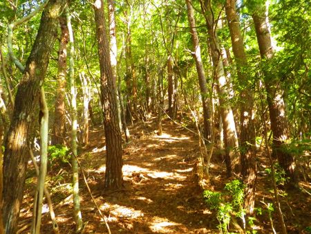 ここからはP825まではひたすら登りが続いていく