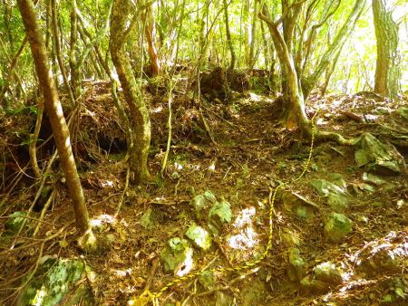 ロープ場があったけど写真では伝わらないが結構な斜面になっている