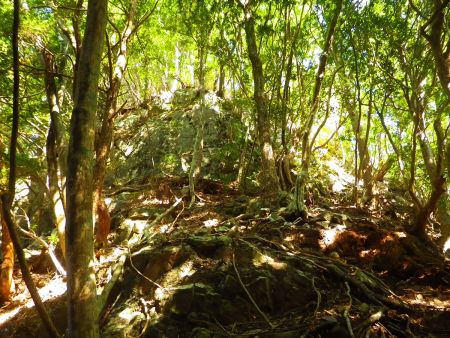 さらに奥に進んで五大尊岳の北峰のほうへ行ってみる。一旦ここから下って登ったところになる