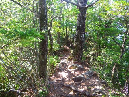 さて、次があるのでさっさと下山することにした。この分だと下山も相当時間がかかりそうだ