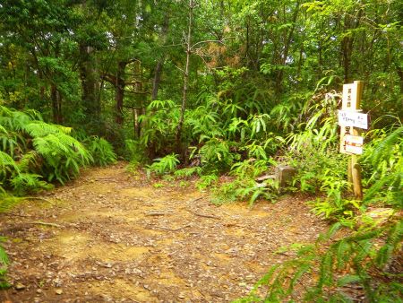 スローペースで大黒天神岳まで登り返してきた。ちょっとここで休憩した