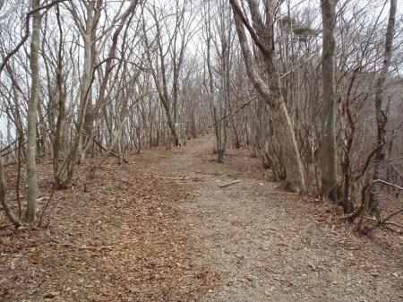 登山道というより遊歩道