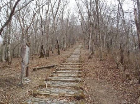 この階段、意外にキツかった