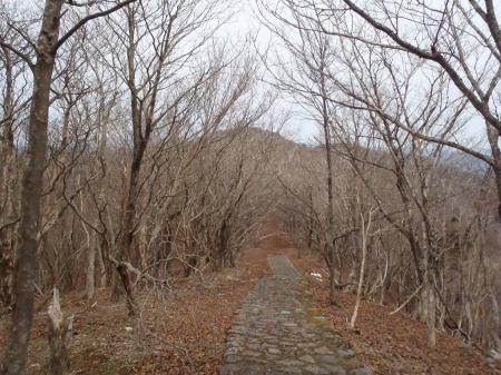 続いて0.7km先のNHK中継局の電波塔がある和歌山最高峰の龍神岳を目指す