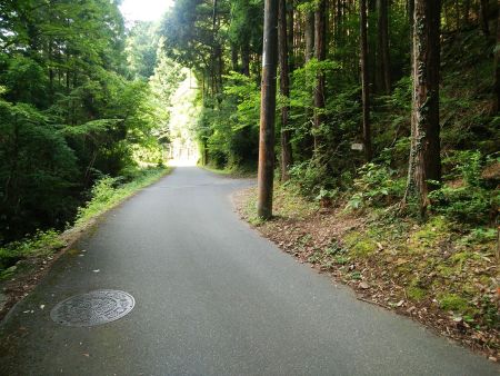 林道を歩いていってこの付近に登山口がある