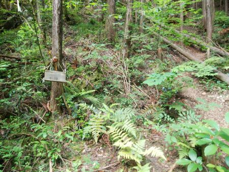 このサルの前栽と書かれたプレートのところから入山する