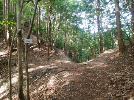 ここで権現尾根と合流する