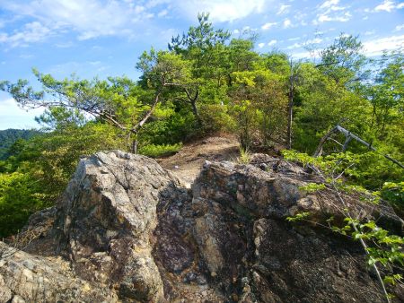 権現山までは岩場が結構ある