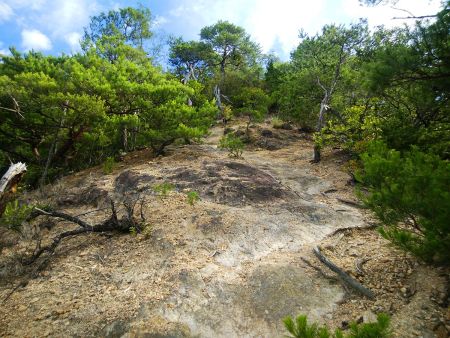 ロープ場なんかあるけど、ここは下山時に滑りやすい