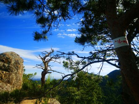 サルの前栽に到着。ここは以前に来たことがあったような気がするんだけどね