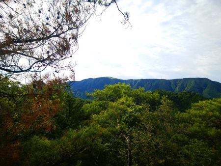 権現山から岩湧山を望む。かなり遠いと感じるが今回の目標はあそこまで登ること