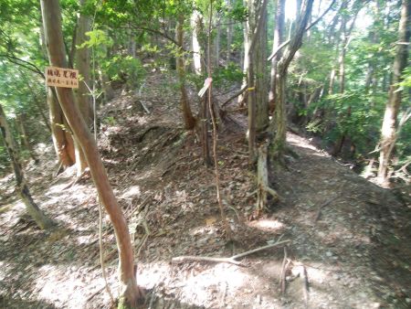 さっきの権現尾根と合流したところまで戻って今度は岩湧山のほうへ行く