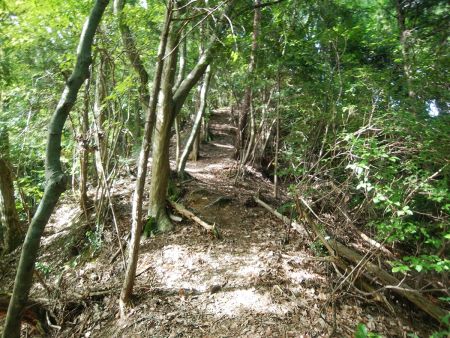 尾根をひたすら歩いていく。この付近はこまめなアップダウンがあったけど楽だった