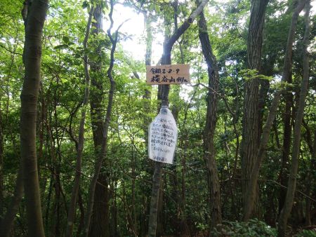 休憩所のところからすぐに横谷山(451m)があった