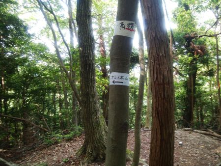 ここはナシノ木山のほうへ進んでいく