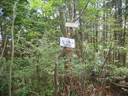 梨ノ木山(435m)に到着