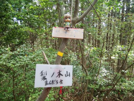 梨ノ木山でも雪村あおいちゃんを撮影しておいた