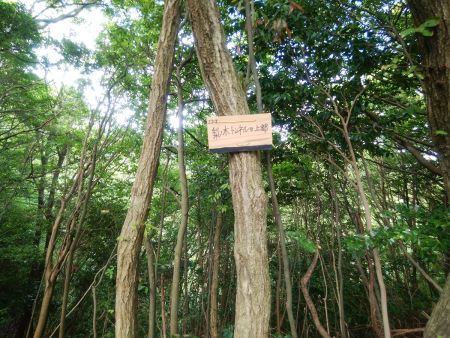 ここが梨ノ木トンネルの上部らしい。この下にトンネルがあるんだろう