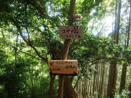 コヤブ山でも雪村あおいちゃんを撮影しておいた