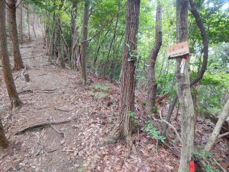 岩湧山方面へどんどん尾根を進んでいく