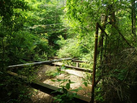 これは何の跡だろうか。なにか荷物を運ぶものみたいだけど、ここをまたいで尾根を進む