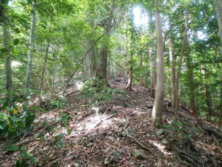 ここから激急登のはじまりだった。もうかなりの急登で10mおきに息が切れていた