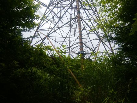 やっと鉄塔75番に到着した