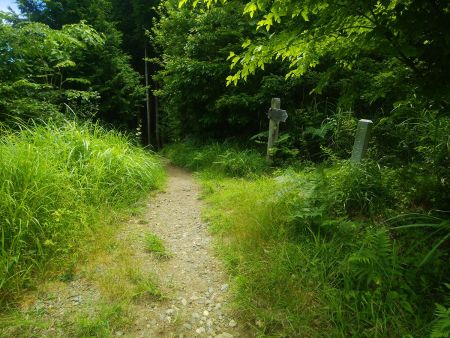 鉄塔からダイトレに合流した。ここで急登の疲れをとるために少し休憩した