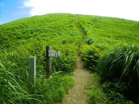 ここから秋にはススキになる高原地帯のような登りがはじまる。いつもは向こう側から登っていたが、今回は反対側から初の登り