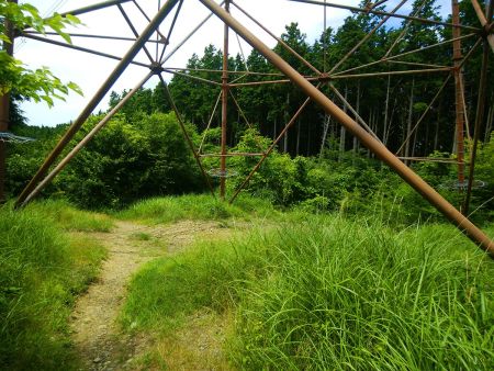 鉄塔75番から下っていくが、本当にルートがあるのか心配だ