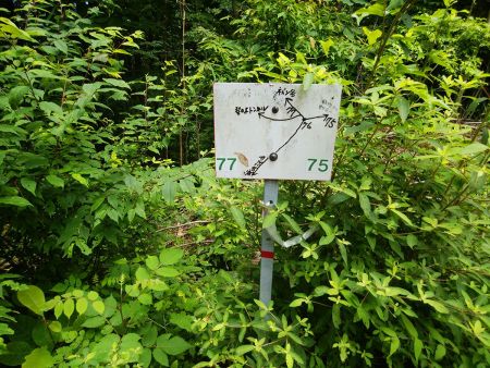 これはネバシ谷のほうへ下ればいいのかな！？とにかく地図と照らし合わせて下るしかない