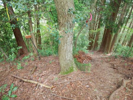 ここで分岐。左側は梨ノ木トンネルの方向だが、ここは地図通りに右側の道を下っていく