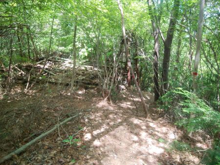 この何か作業場の跡地から今度は右へ沢筋のほうへ下っていく