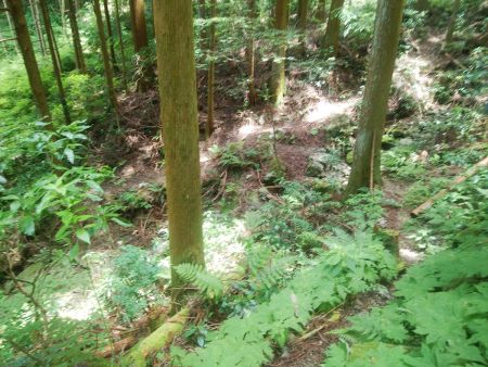 沢筋に出た。ここからルーファイしていく