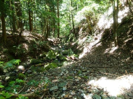 予想以上にルーファイが必要な沢筋の道。沢筋から離れたり再び沢に戻って渡ったりしながら沢を下っていった