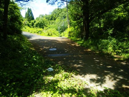 地図通りに行くと林道に出た。ここから林道歩きがはじまる