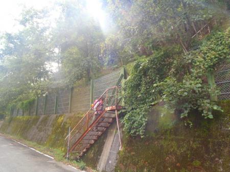 この階段を登る