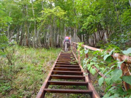 やたらと長い階段だった