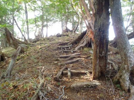 このピークで登りが一時的に終わる