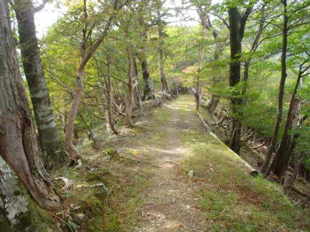 ここからしばらくなだらか