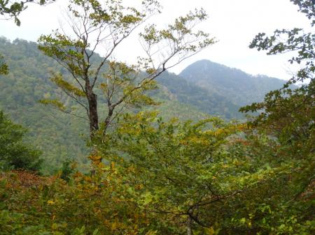 行者還岳が見えた