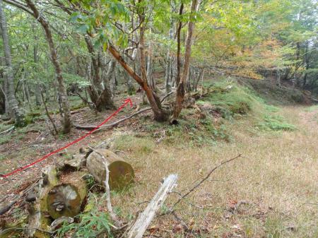 ここで分岐。左側の尾根を登る